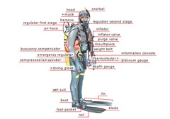 Best physical therapist nyc dive blog pics 2