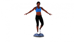 Bosu ball best physical therapist blog