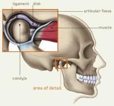 Temporomandibular Joint. Physical Therapy 01