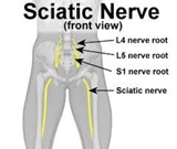 Physical Therapy for Thigh Pain NYC 2