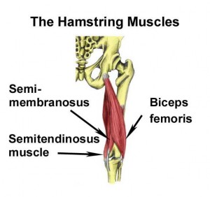 Treat a Pulled Hamstring  