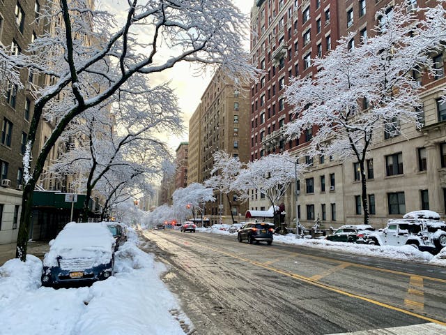 2026 NYC Blizzard Soreness and Physical Therapy